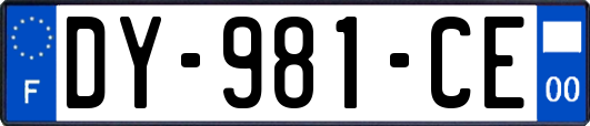 DY-981-CE