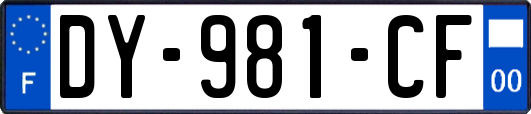 DY-981-CF