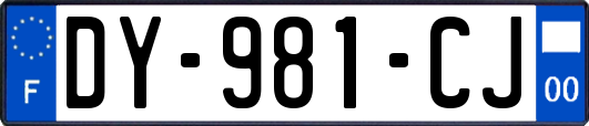 DY-981-CJ