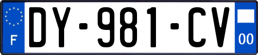 DY-981-CV