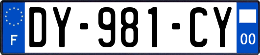 DY-981-CY