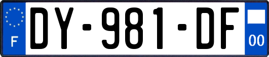 DY-981-DF