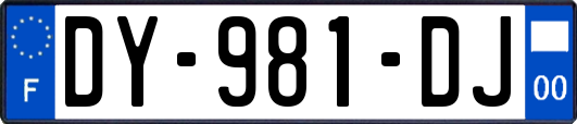 DY-981-DJ