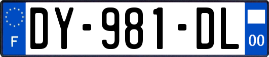 DY-981-DL