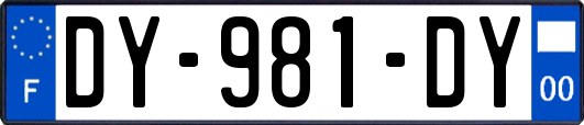 DY-981-DY