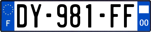 DY-981-FF