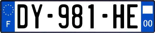 DY-981-HE