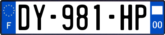 DY-981-HP