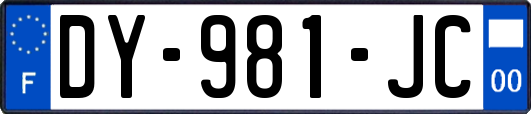 DY-981-JC