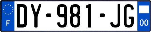 DY-981-JG