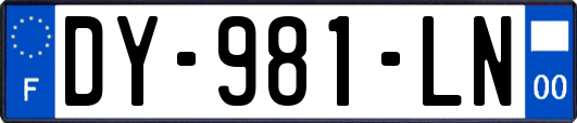 DY-981-LN