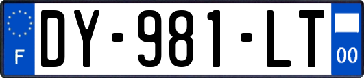 DY-981-LT
