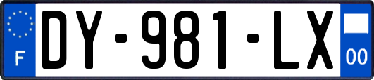 DY-981-LX