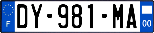 DY-981-MA