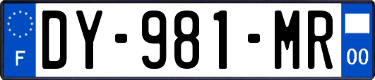 DY-981-MR
