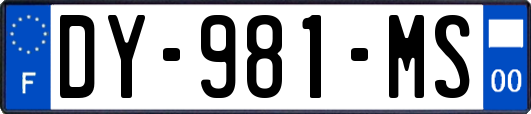 DY-981-MS