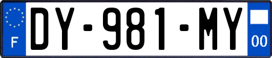 DY-981-MY