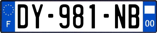 DY-981-NB