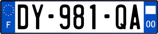 DY-981-QA