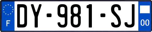 DY-981-SJ