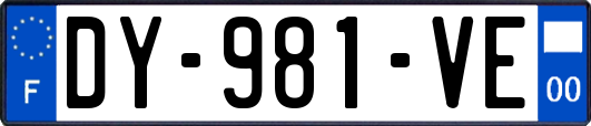 DY-981-VE