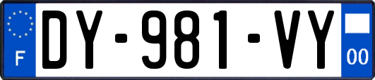 DY-981-VY