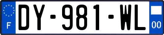 DY-981-WL