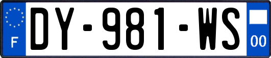 DY-981-WS