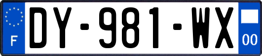 DY-981-WX