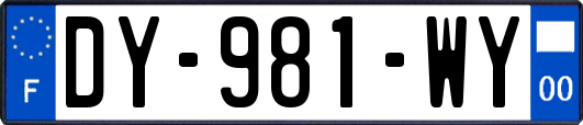 DY-981-WY