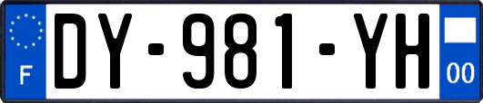 DY-981-YH