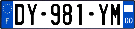 DY-981-YM