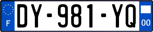 DY-981-YQ