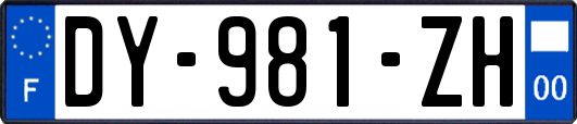 DY-981-ZH