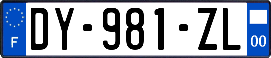 DY-981-ZL