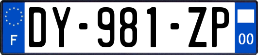 DY-981-ZP