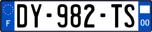 DY-982-TS