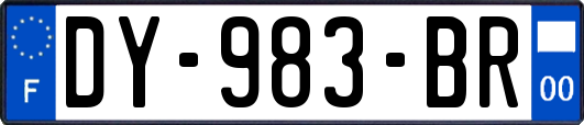 DY-983-BR