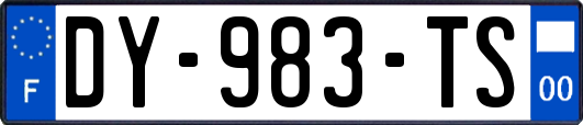 DY-983-TS