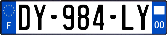 DY-984-LY