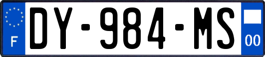 DY-984-MS