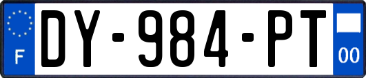 DY-984-PT