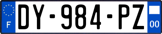 DY-984-PZ