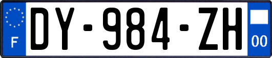 DY-984-ZH