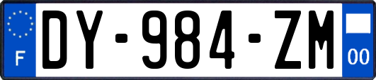 DY-984-ZM