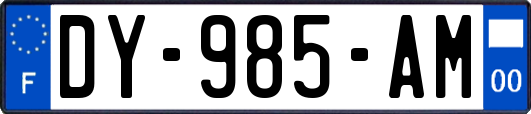 DY-985-AM