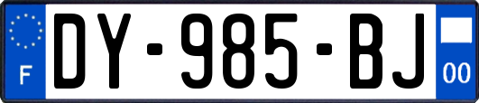 DY-985-BJ