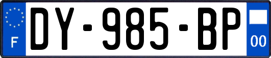 DY-985-BP