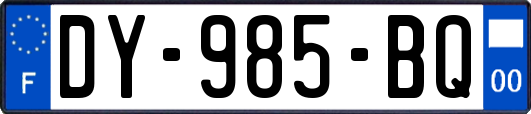 DY-985-BQ