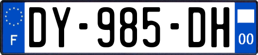 DY-985-DH